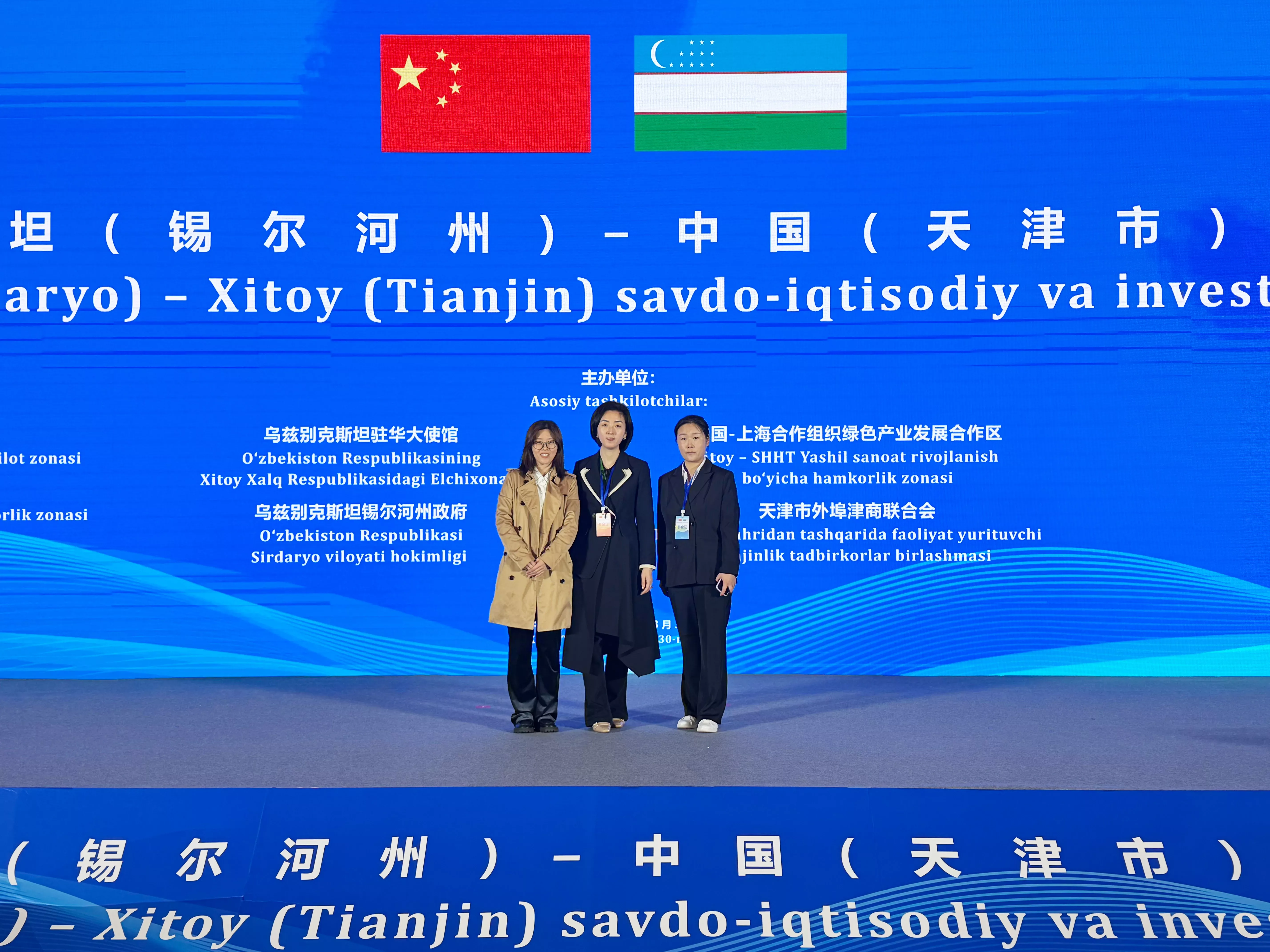 Zisheng Oil Transformer.webp