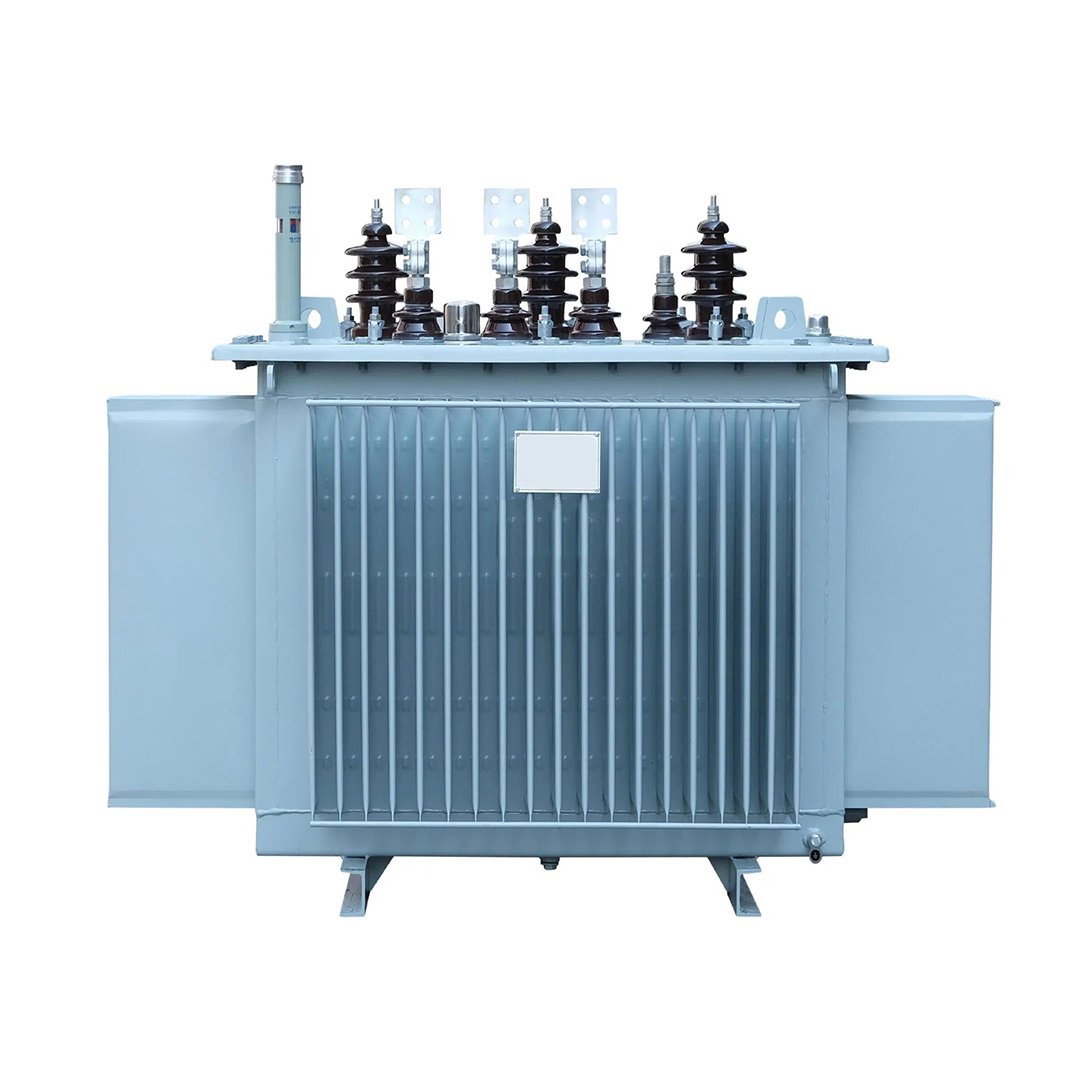Oil Immersed Transformer03