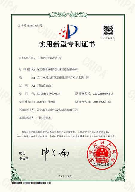 New patent certificate 3