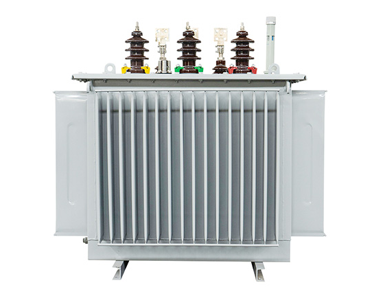 Oil immersed transformer