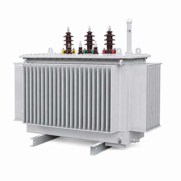 Oil Immersed Transformers